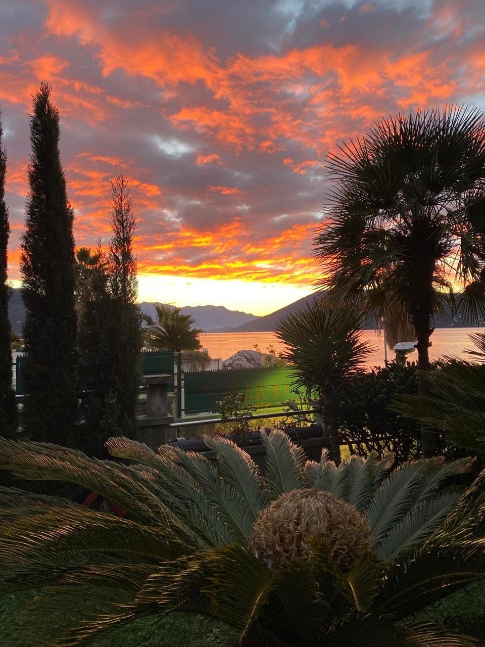 Exclusive Beachfront Estate in Herceg Novi with Water Front Plot