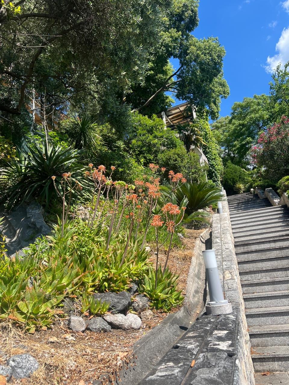 Exclusive Beachfront Estate in Herceg Novi with Water Front Plot